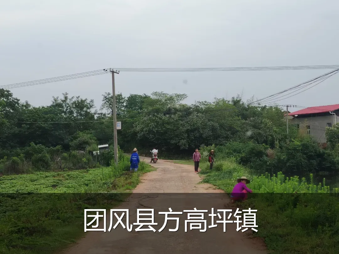 团风县方高坪镇