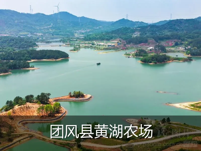 团风县黄湖农场